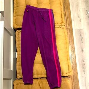 Aviator Nation Purple and Pink Track Pants with Bold Stripes